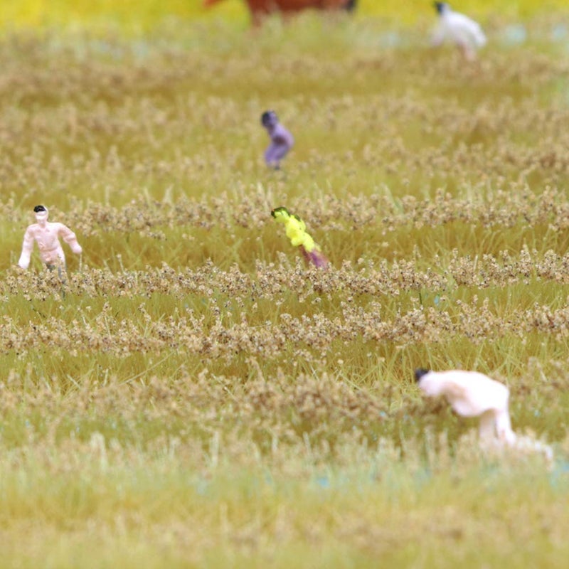 Warmtree 2 Boxes Static Rice Field Grass Model Rice Field Scene Railway Artificial Grass Miniature War Gaming Terrain DIY Model Railroad Scenery War Gaming Scenery (Rice Field) - Image 5